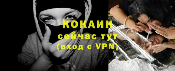 сатива Богданович