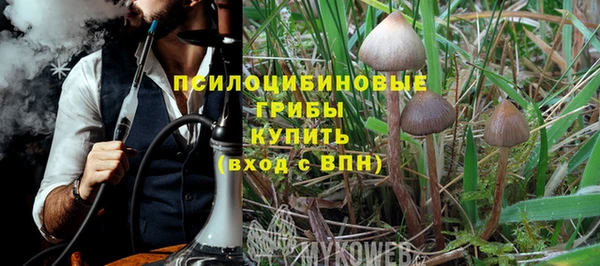 сатива Богданович