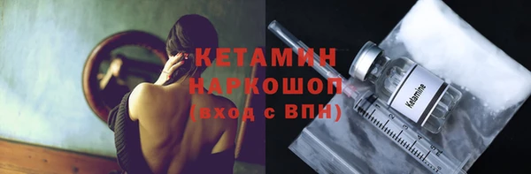 сатива Богданович