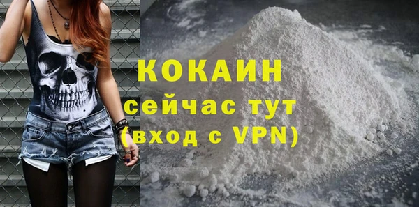 сатива Богданович
