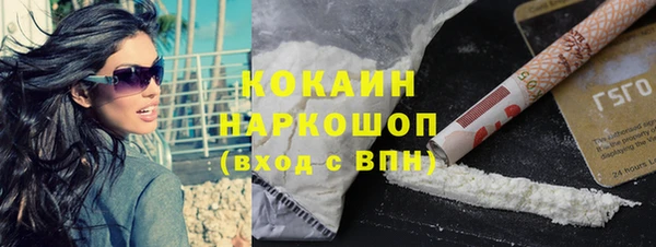 сатива Богданович